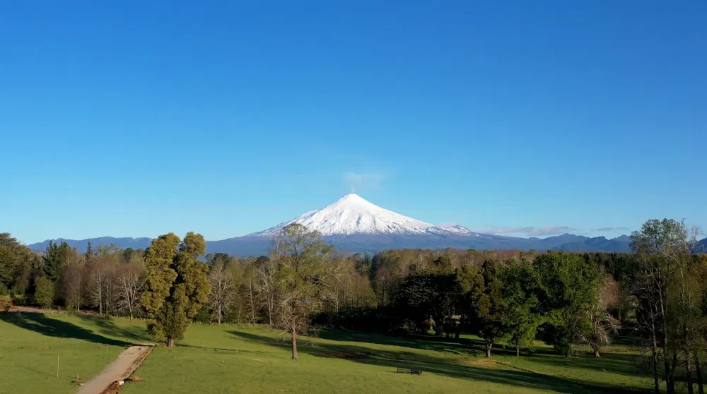 Campo Alto Roble, Villarrica